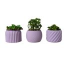 Trio Cachepot P - Adornos