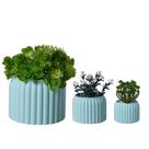 Trio Cachepot Rajado - Adornos