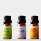 Trio de Óleos Essenciais - Alecrim, Lavanda e Laranja Doce