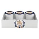 Trio de Potes e Bandeja Kit Higiene MDF Urso Coroa Menino