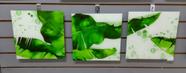 Trio de quadros em vidro 30x30.