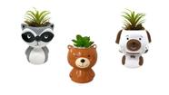 Trio de Vaso Vasinho Urso M + Guaxinim + Cachorro Ceramica - Hp Decor