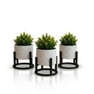 Trio de Vasos Cachepot com Suporte Suculentas Cactos Plantas Artificiais