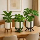 Trio de Vasos Pé Alto para plantas naturais Miira Studio