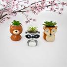Trio Vaso Vasinho Para Suculenta Urso Marrom Guaxinim Raposa