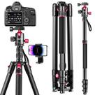 Tripé CAMBOFOTO 80-Professional com câmera DSLR SLR com cabeça esférica Tripé CAMBOFOTO 80-Professional com câmera DSLR SLR com cabeça esférica