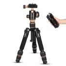 Tripé de mesa portátil Koolehaoda Mini 20-50 cm de altura