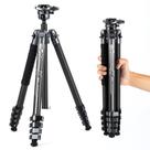 Tripé Fotopro X-Airfly de fibra de carbono 160 cm com cabeça esférica Tripé Fotopro X-Airfly de fibra de carbono 160 cm com cabeça esférica