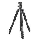 Tripé Jusino X-2640+BT-05 Ballhead 360 Graus De Alumínio