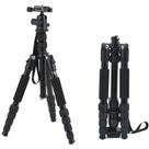 Tripé Monopé 2 Em 1 Profissional Cabeça Hifdráulica Premium Preto Capacidade 10kg 1.6m
