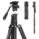 Tripé SMALLRIG CT180 Tripé de vídeo de 185 cm com cabeça de fluido