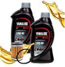 Troca de Óleo Fz25 250 Abs Lander 250 Yamalube 10w40 Com Filtro