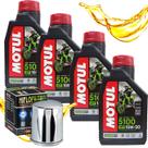 Troca De Oleo Harley Fat Boy Low 4 Lts Motul 15w50 + Filtro