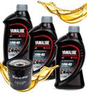 Troca de Óleo Mt 03 Mt 07 Mt 09 Xj6 Yamalube 10w40 Com Filtro