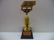 Troféu de bilhar/sinuca (33 cm).