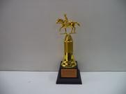 Troféu de cavalo ( 30 cm).
