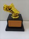 Troféu de chuteirinha de ouro (14 cm).