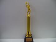 Troféu de goleiro menos vazado (46 cm).