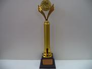 Troféu de honra ao mérito (46 cm).
