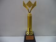 Troféu de jogo de dama (38 cm).