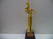 Troféu de judô (43 cm). Troféu de judô (43 cm).