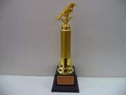 Troféu de pássaro (35 cm).