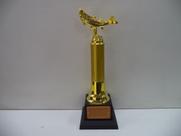 Troféu de pesca (35 cm).