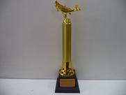 Troféu de pesca (41 cm).
