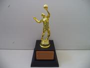 Troféu de vôlei (23 cm).