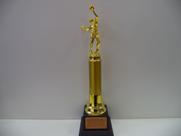 Troféu de voleibol (40 cm). Troféu de voleibol (40 cm).