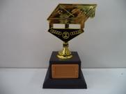 Troféu para jogo de sinuca (22 cm). Troféu para jogo de sinuca (22 cm).
