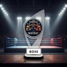 Troféu Para Luta De Boxe Em Acrílico Para Premiação 1 Peça