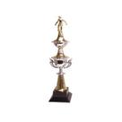 Troféu Vics 311