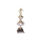 Troféu Vics 313