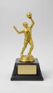 Troféu Vôlei 25cm Plástico Dourado Base Preta