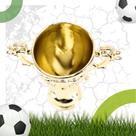 Trofeus, 25 unidades Taça de Decoração, Lembrancinha, Futebol, Premiação