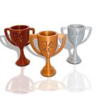 Troféus PSN Network - Kit 3 unid - Tam M