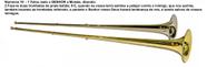 Trombeta Judaica Chatsoserah = Shofar De Antílope -de Israel Trombeta Judaica Chatsoserah = Shofar De Antílope -de Israel