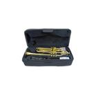 Trompete Bb Laqueado Shelter SFT6418L com case Trompete Bb Laqueado Shelter SFT6418L com case