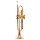 Trompete em Sib Bb Tokai Gold Brass Alpaca Laqueado TR400GB