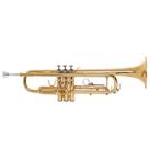 Trompete Zellmer ZTR-300L Bb Laqueado (Com Case) - 1217 Trompete Zellmer ZTR-300L Bb Laqueado (Com Case) - 1217