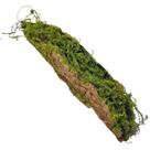 Tronco Decorativo Madeira e Musgo Artificial (48cm) SMO Tronco Decorativo Madeira e Musgo Artificial (48cm) SMO