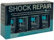Truss Shock Repair Ampola 1Un