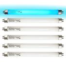 Tubo de luz fluorescente Celiwace UVA-BL T5 6W 32050 F6T5/BL 9cm