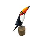 Tucano Mini No Toquinho Decoração Para Casa Sala Quarto Tucano Mini No Toquinho Decoração Para Casa Sala Quarto