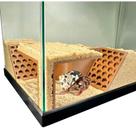 Túnel Subterrâneo Cave Corner para Caranguejo Eremita - Lucky Critter