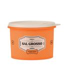 Tupperware Caixa de Sal Grosso 1,1Kg