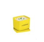 Tupperware Jeitoso 800ml
