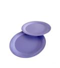 Tupperware Kit Pratos