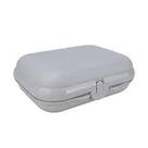 Tupperware porta sanduíche e snacks
